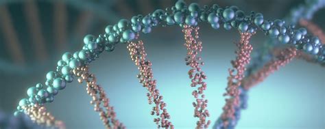 Translational Molecular Pathology | MD Anderson Cancer Center