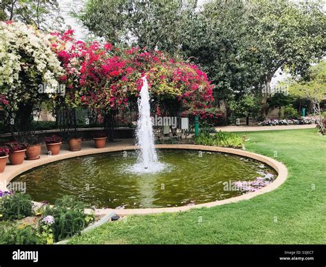 British Embassy Gardens Kuwait City Stock Photo Alamy