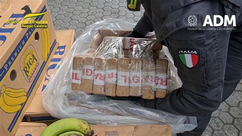 Ndrangheta Pentito Svela I Traffici Di Droga A Gioia Tauro La