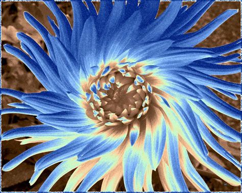 Blue Dahlia Abstract Digital Art by Will Borden - Fine Art America