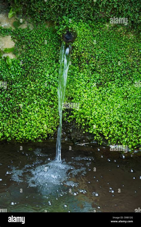 Diagram Diagram Of A Spring Water Mydiagramonline