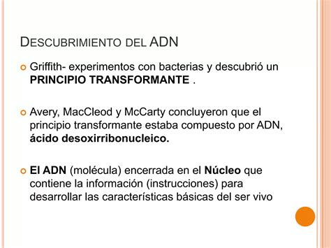 Revoluci N Gen Tica Mendel Adn Arn Cidos Nucleicos Ppt