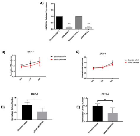 Ijms Free Full Text Novel Lncrnas Co Expression Networks Identifies