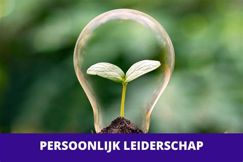 Persoonlijk Leiderschap Demusa Coaching Training