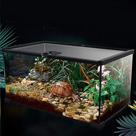 Le Meilleur Aquarium Pour Tortue Guide Dachat 2022