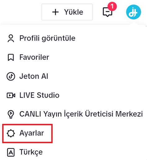 TikTok Hesap Silme Kapatma Dondurma Nasıl Yapılır 2024