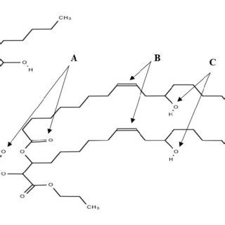 Structure of castor oil molecule. (A) indicates carboxylic groups; (B ...