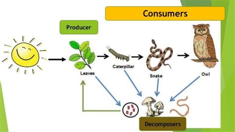 Producer Consumer Decomposer Examples