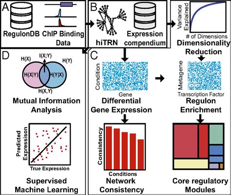 Global Transcriptional Regulatory Network For Escherichia Coli Robustly