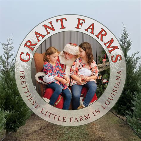 grant tree farm 6