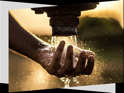 woodpecker groundwater levels