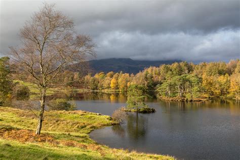 Tarn Hows Walk The Tarns Walk Coniston Walks Lake District Walks