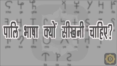 learn buddhism  hindi  pali language  dhamma articles books
