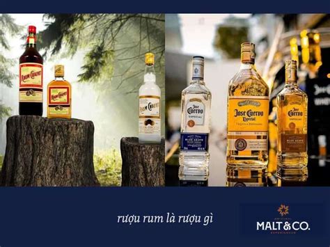ruou rum la ruou gi malt