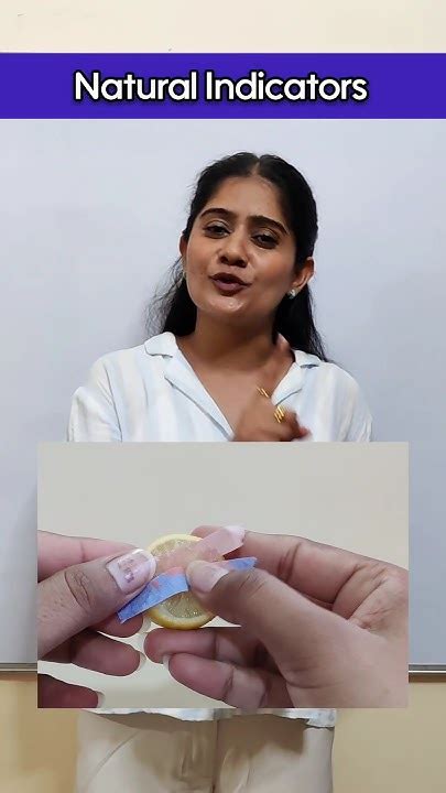 learn practically natural indicators litmus paper turmeric