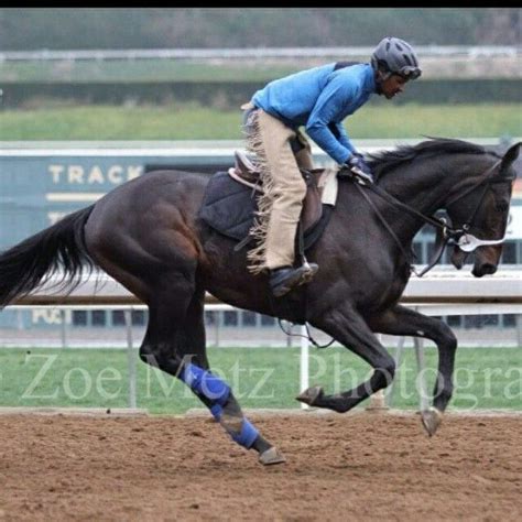 A Man Riding On The Back Of A Brown Horse Across A Dirt Field At A Race