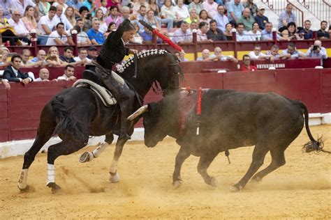 Plaza de Toros de Murcia | Web Oficial