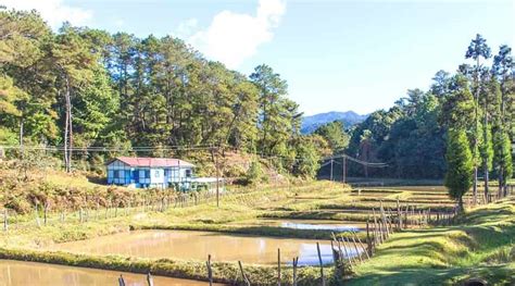 Top 7 Places To Visit In Ziro Valley Sightseeing And Things To Do