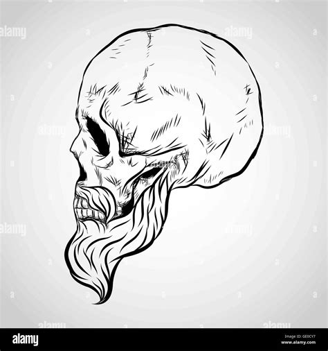 Bearded Skull Vector Hi Res Stock Photography And Images Alamy