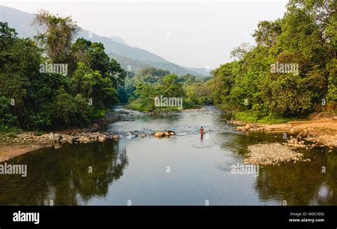 Cardamom hills kerala hi-res stock photography and images - Alamy