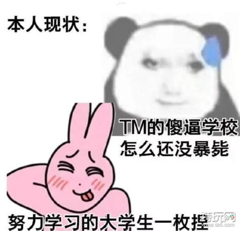 喜欢的一枚呀是什么梗 喜欢xx的xx一枚呀是什么意思 特玩网