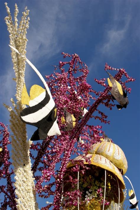 Pasadena, California - Beautiful Rose Parade floats on display after ...