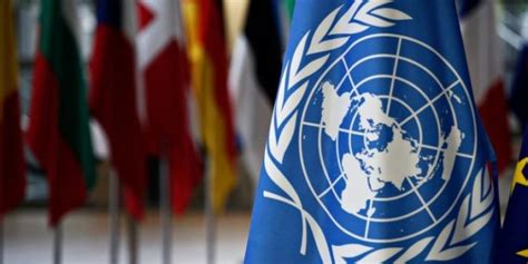 Onu Y La Cidh Llaman A Los Estados A Incrementar Protecci N De