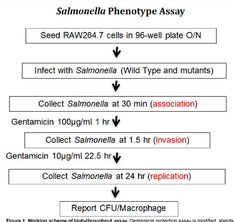 Figure From High Throughput Assay To Phenotype Salmonella Enterica