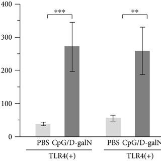 Effect Of Cpg D Galn In Tlr And Mice A Histological Analysis