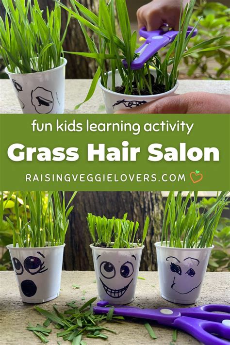 Grow Your Own Grass Hair Salon For Toddlers In 2024 Plant Activities