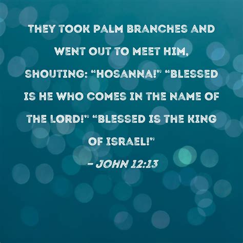 John 1213 They Took Palm Branches And Went Out To Meet Him Shouting