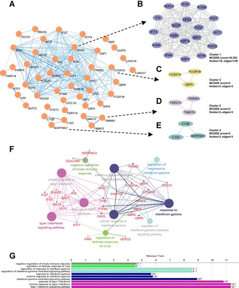 Ppi Network Of Degs And Module Analysis A Deg Ppi Network Constructed