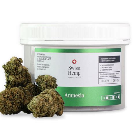 SUSZ KONOPNY CBD AMNESIA HAZE 10g CBD 11045058347 Allegro Pl