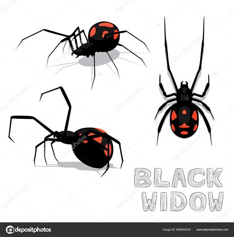 Black Widow Spider Cartoon