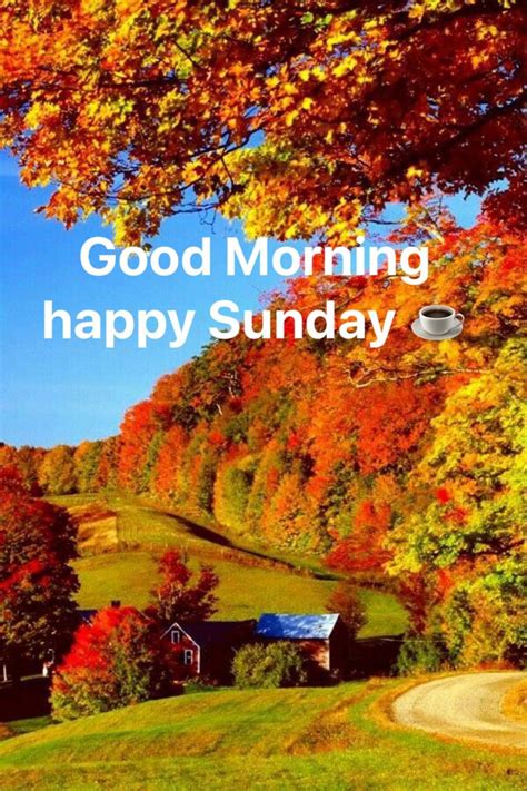 Good Morning Happy Sunday 🌞☕️