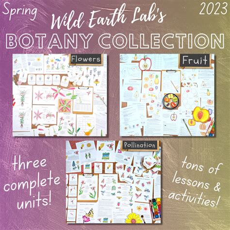 Botany Learning Bundle | collection of printable plant unit studies