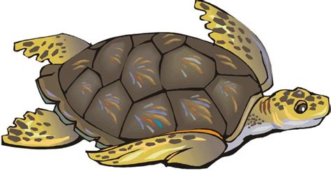 Sea Turtle Clip Art Free Clipart Images Clipartix Clip Art Turtle Free Clip Art