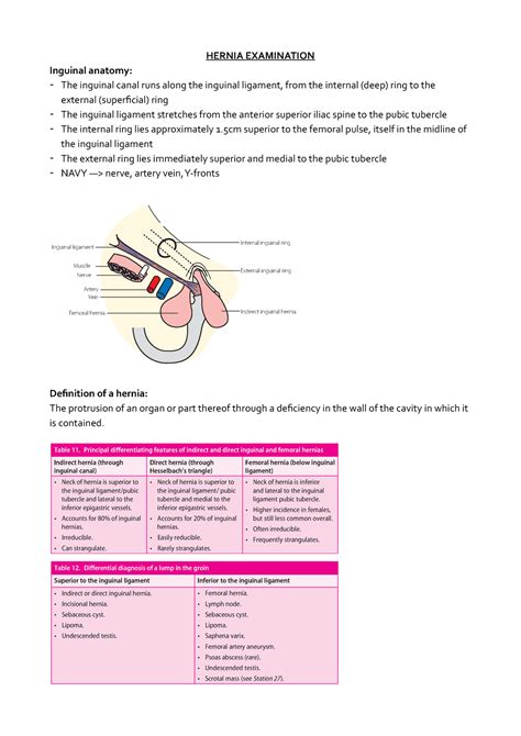 Hernia Examination Hernia Examination Inguinal Anatomy The