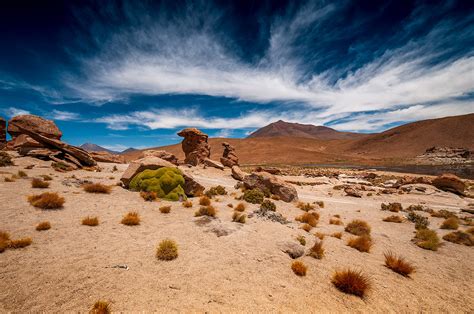 El Altiplano De Bolivia Behance