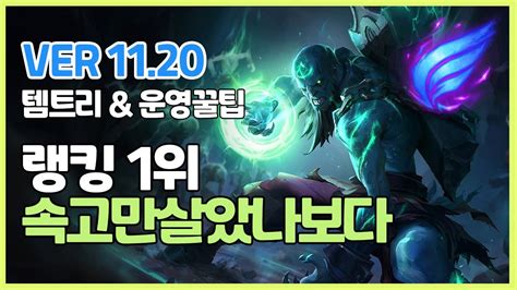 시즌11 라이즈 장인랭킹 1위 속고만살았나보다ㅣ 템트리 라인전 딜교 운영법ㅣ천상계 장인유저 관전ㅣpatch 11 20ㅣ난입ㅣ만년