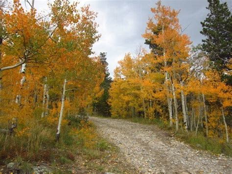 6 Fall Hikes Around Boulder To See Aspen About Boulder County Colorado Visitor And Local