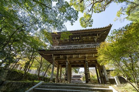 功山寺｜観光スポット｜【公式】山口県観光旅行サイト おいでませ山口へ