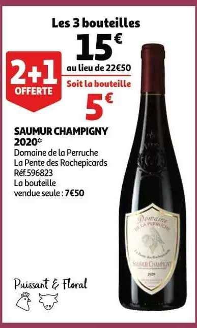 Promo Saumur Champigny 2020 Domaine De La Perruche La Pente Des