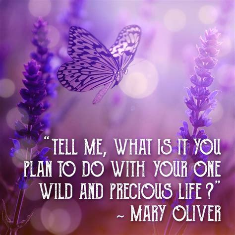 Tell Me What Is It You Plan To Do With Your One Wild And Precious Life