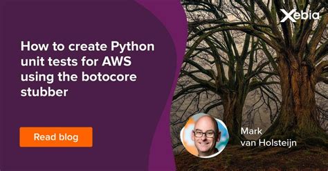 How To Create Python Unit Tests For Aws Using The Stubber Xebia