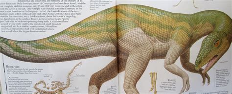 Bactrosaurus – Love in the Time of Chasmosaurs