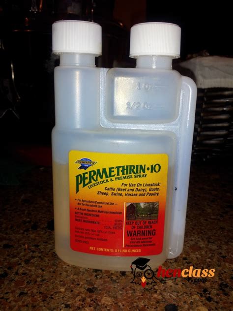 Your Options For Chicken Mite Treatment Backyard Poultry