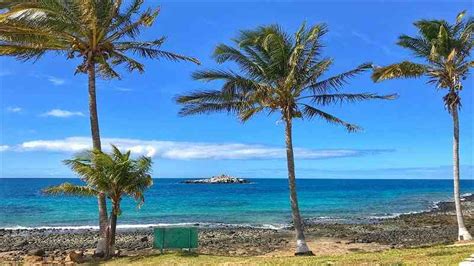 Faça o passeio Parque Marinho do Recife de Fora