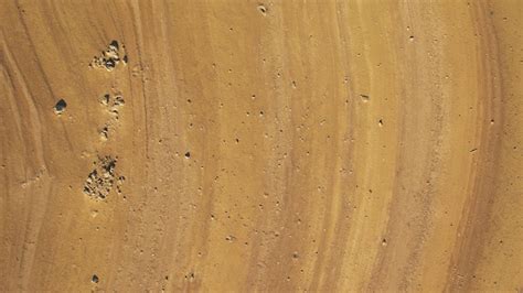 Premium Photo | Textures and color palette arid terrain. zenithal ...