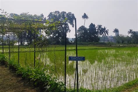 Kerala Seed Farm Becomes Country S First Carbon Neutral Farm